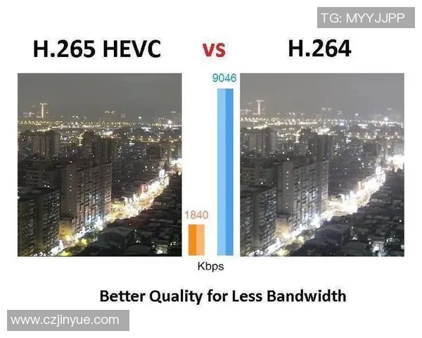 日本视频与高清视频的对比分析及其在现代媒体中的应用探讨